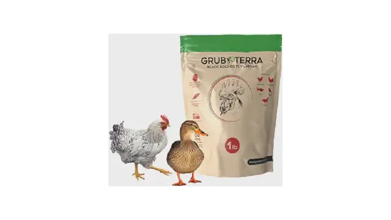Qual o Melhor Alimento Vivo para Lagarto: Nutrição e Acessórios