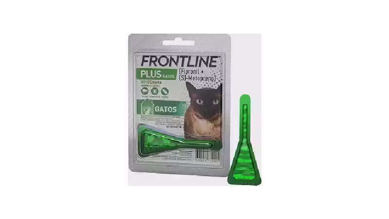 Qual o melhor antipulgas para gato? Guia de Tipos