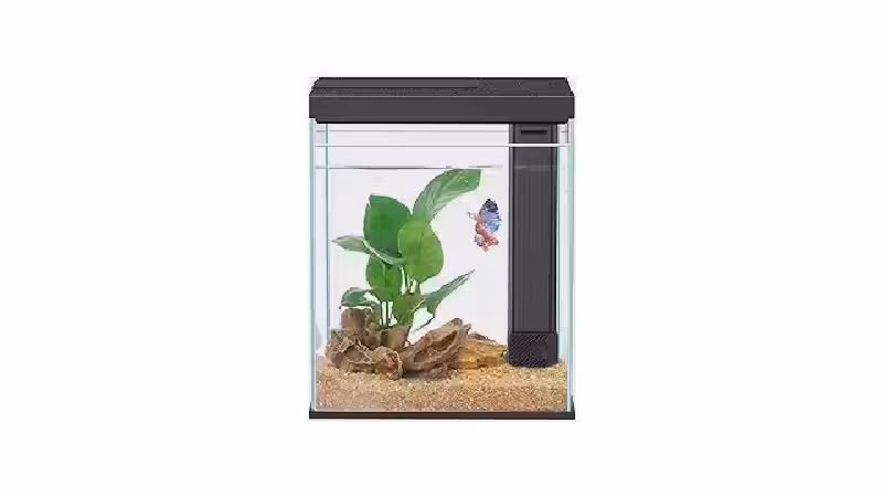 Qual o Melhor Aquário para Peixe Betta: Guia de Litragem