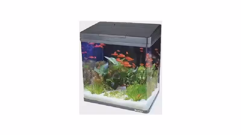 Qual o Melhor Aquario: Guia por Litragem e Peixe