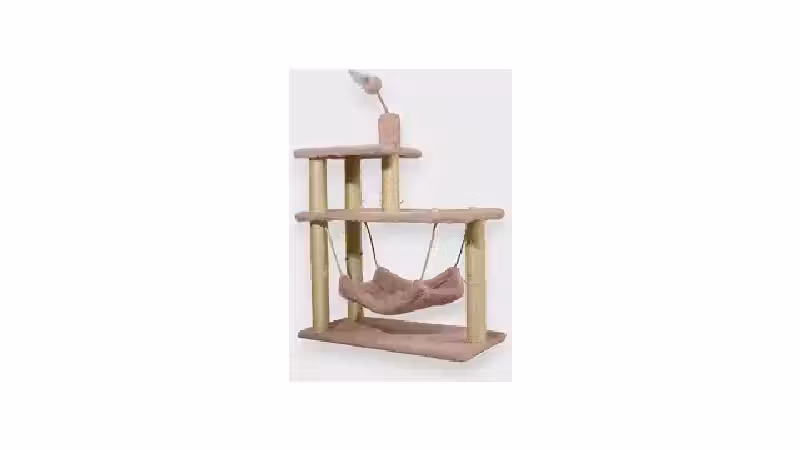 Qual o Melhor Arranhador Cama para Gatos? 7 Opções