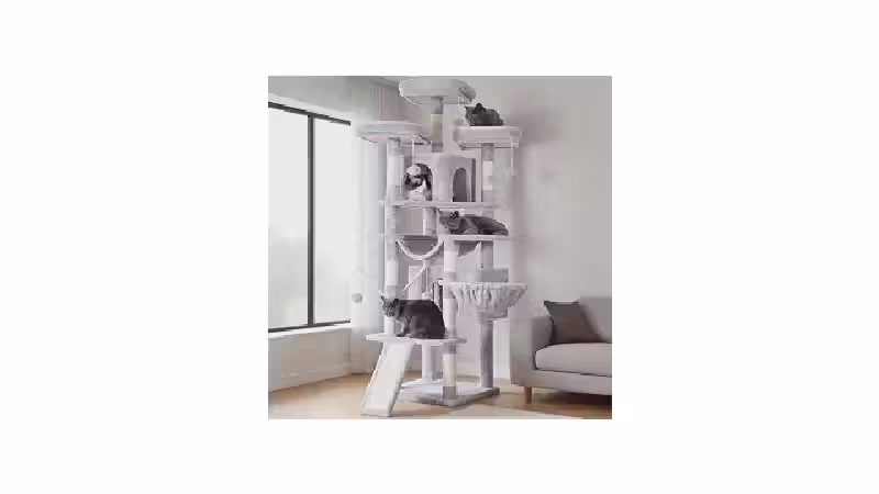 Qual o Melhor Arranhador com Vários Níveis? Top 10