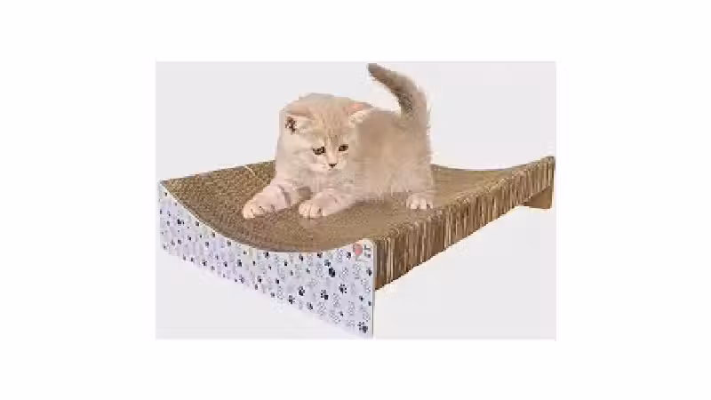 Qual o Melhor Arranhador de Papelão para Gatos Grandes?