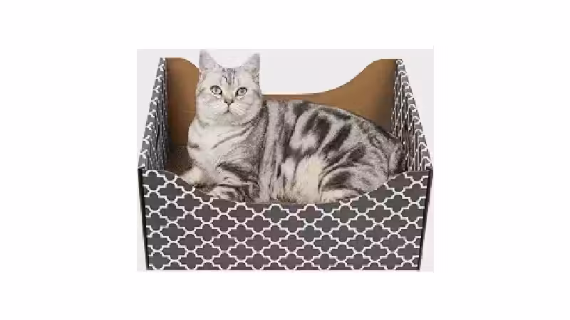 Qual o melhor arranhador de papelão recarregável?