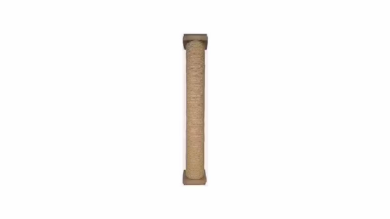 Qual o Melhor Arranhador de Parede para Gatos? Guia