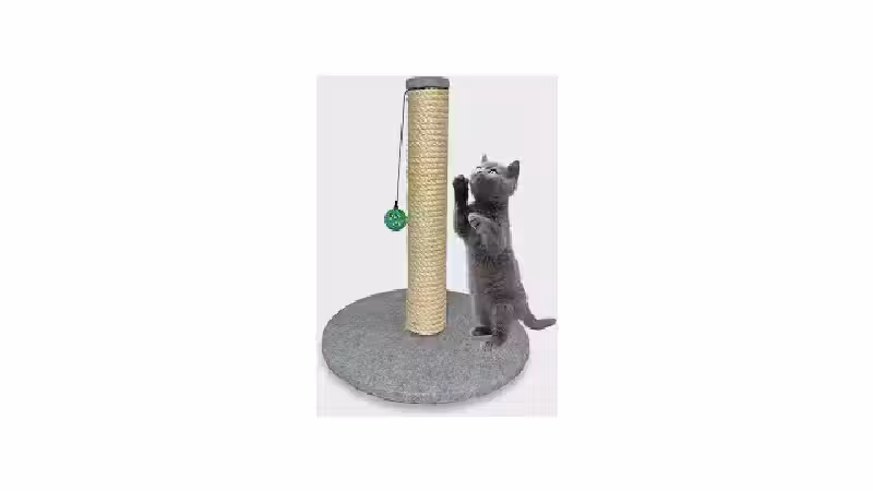 Qual o Melhor Arranhador de Poste para Gatos Ativos