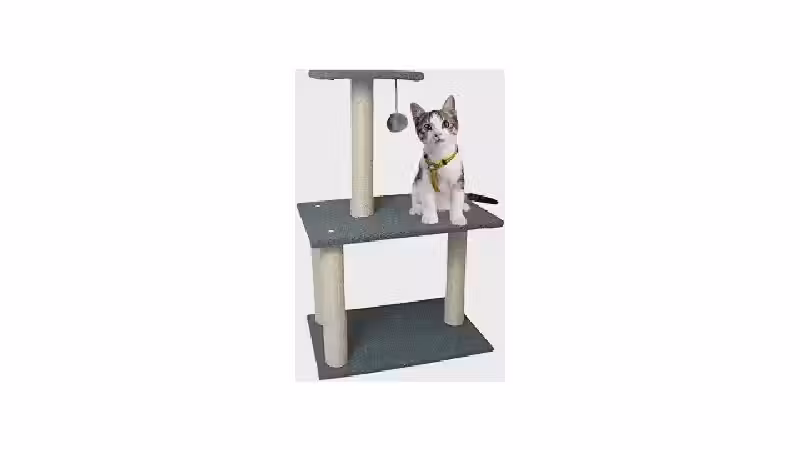 Qual o Melhor Arranhador de Sisal com Brinquedo?