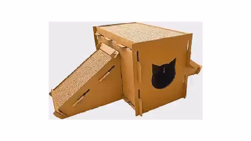 Qual o Melhor Arranhador para Gatos Idosos? Conforto