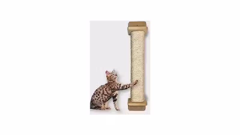 Qual o Melhor Arranhador para Gatos que Não Gostam de Sisal: Guia Completo