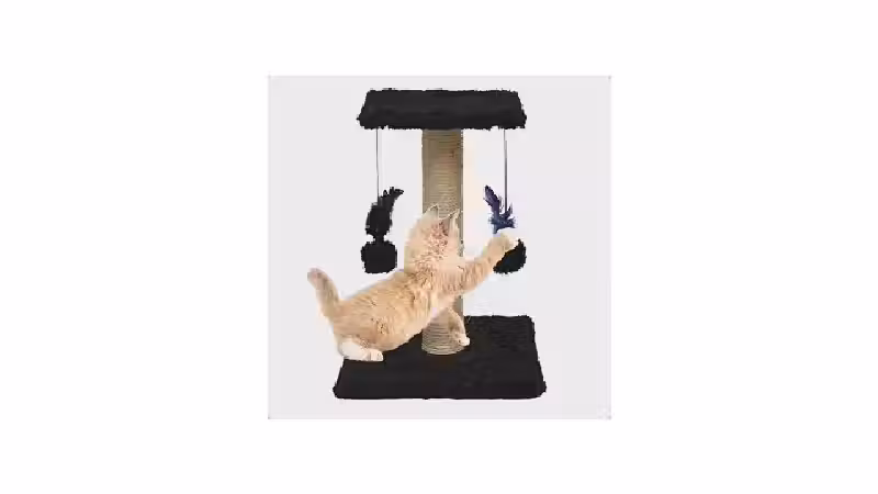 Qual o Melhor Arranhador para Gatos: Poste ou Papelão?