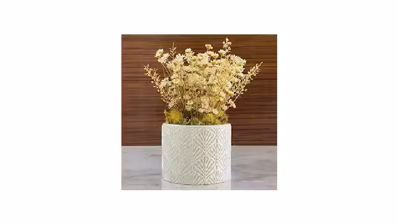 Qual o Melhor Arranjo de Flores Secas: 8 Vasos