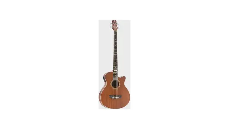 Qual o melhor baixo acústico: Baixolão ou Ukulele?