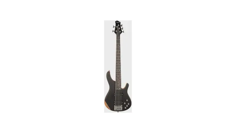 Qual o Melhor Baixo de 5 Cordas Fretless Ativo?