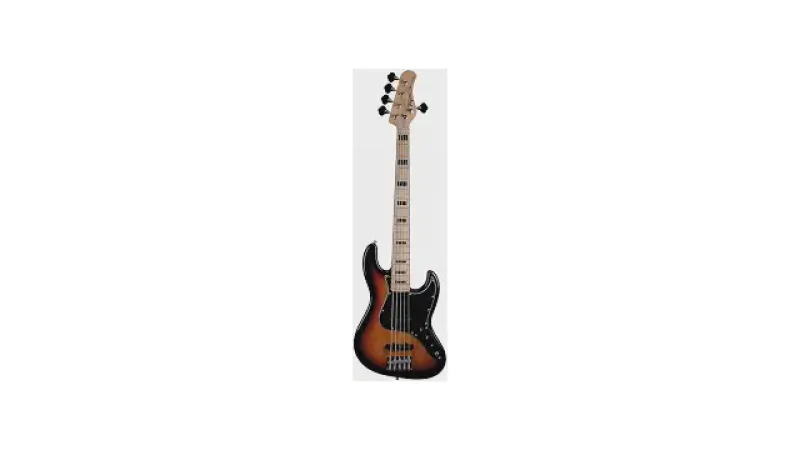 Qual o Melhor Baixo de 5 Cordas Fretless: O Guia