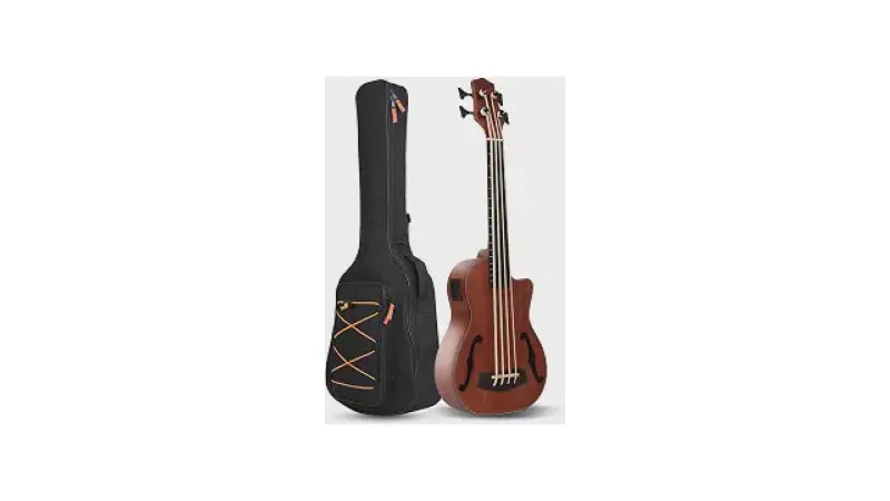 Qual o melhor baixo sem trastes (fretless) compacto?