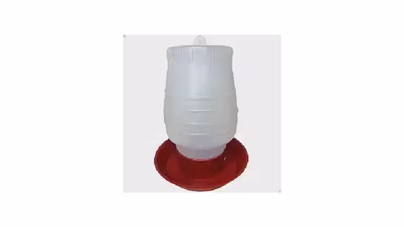 Qual o Melhor Bebedouro para Codorna? Nipple vs Copo