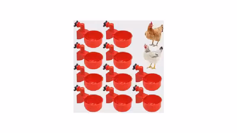 Qual o Melhor Bebedouro para Galinha: Guia dos 10