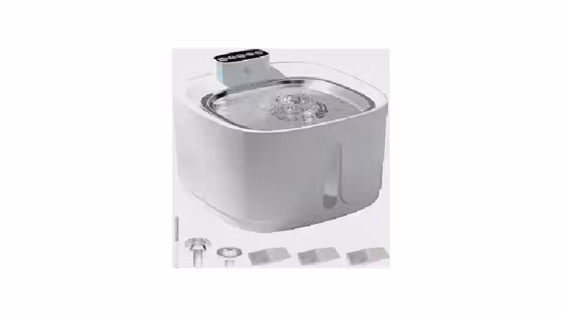 Qual o melhor bebedouro para gato para saúde renal?