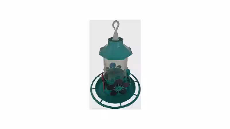 Qual o Melhor Bebedouro para Pássaros de Jardim?