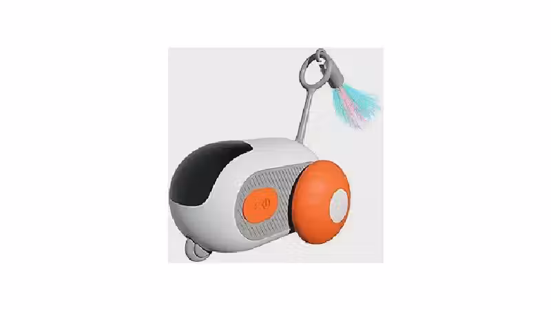 Qual o Melhor Brinquedo de Caça para Gatos: Guia do Predador Feliz