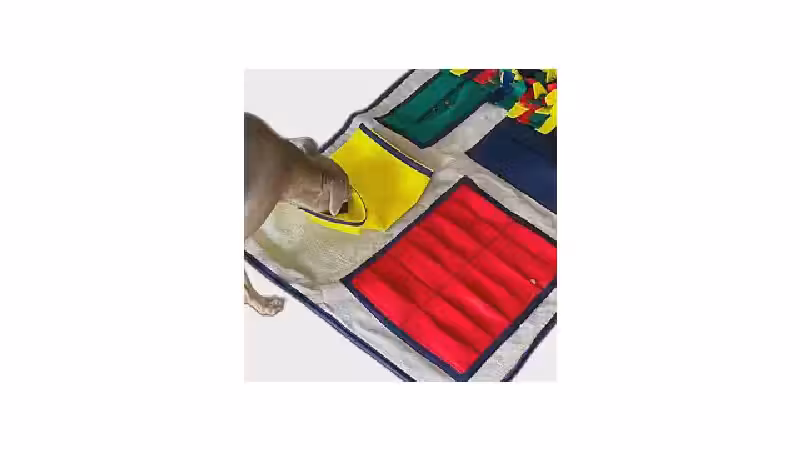 Qual o Melhor Brinquedo de Enriquecimento Ambiental para Cães? Análise de 10 Opções