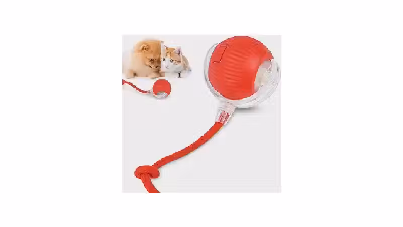 Qual o melhor brinquedo de gato para evitar o tédio