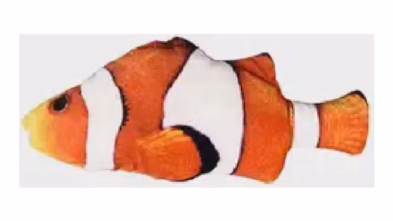 Qual o Melhor Brinquedo de Pelúcia para Gato? Guia