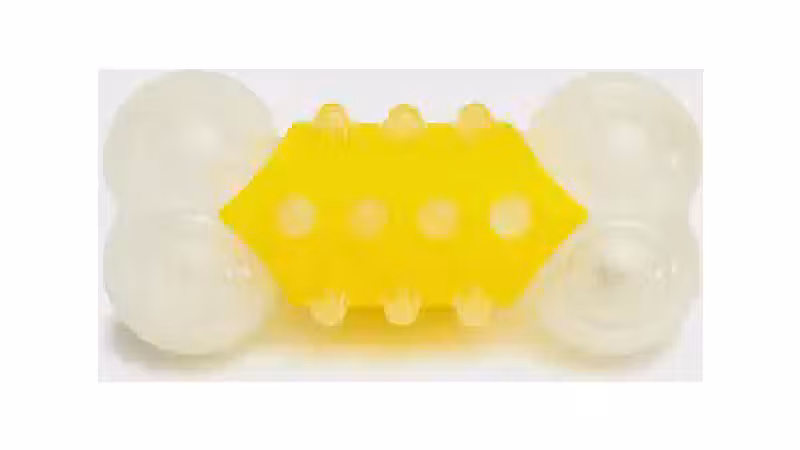 Qual o melhor brinquedo para cachorro que flutua na água para se divertir no verão
