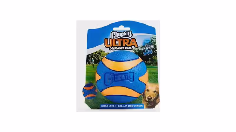 Qual o Melhor Brinquedo para Cães com Som: Resistente ou Macio?