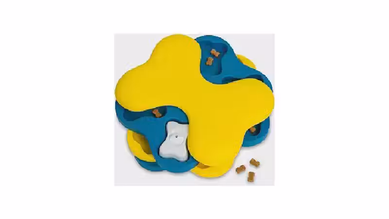 Qual o Melhor Brinquedo para Cães Sozinhos? Top 10