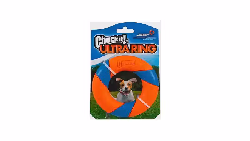 Qual o melhor brinquedo para cães que gostam de buscar? Guia com 8 opções