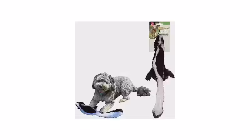 Qual o melhor brinquedo para cães que gostam de caçar: 9 Análises