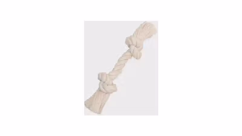 Qual o Melhor Brinquedo para Cães que Gostam de Corda