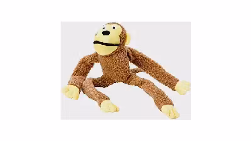 Qual o Melhor Brinquedo para Cães que Gostam de Fazer Barulho?