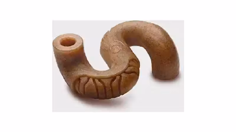 Qual o Melhor Brinquedo para Cães que Gostam de Morder e Roer? Analise de 10