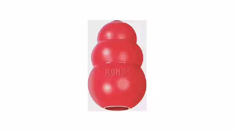 Qual o Melhor Brinquedo para Cães que Gostam de Morder? Guia de Durabilidade