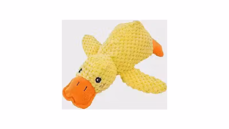 Qual o Melhor Brinquedo para Cães que Gostam de Objetos Macios? Guia para Aconchego