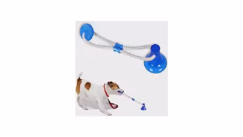Qual o Melhor Brinquedo para Cães que Gostam de Puxar