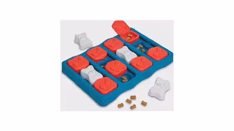 Qual o Melhor Brinquedo Para Cães Que Gostam de Quebra Cabeça [GUIA]