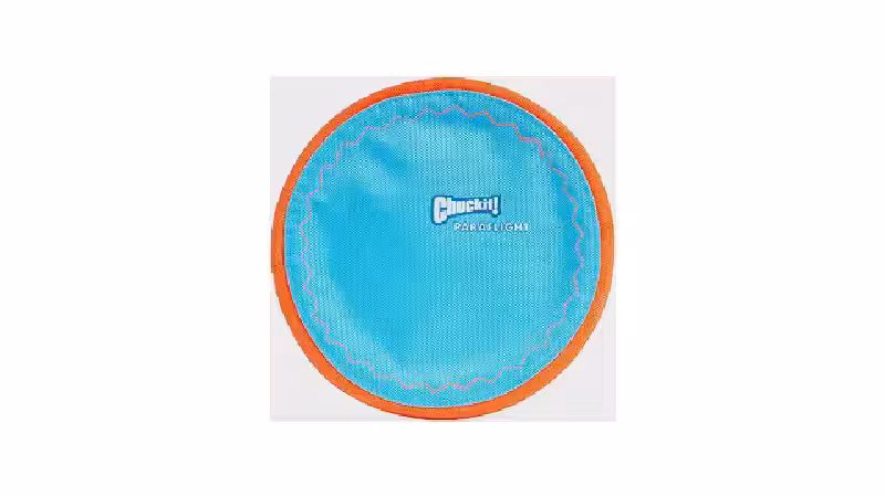 Qual o Melhor Brinquedo para Cães que Nadam? Guia