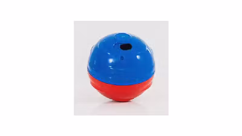 Qual o Melhor Brinquedo para Cães que Solta Comida? Análise de 10 Modelos Anti-Estresse
