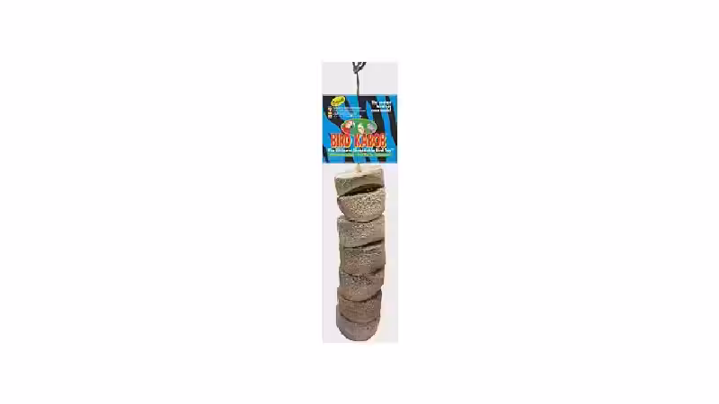 Qual o melhor brinquedo para papagaio? 10 opções