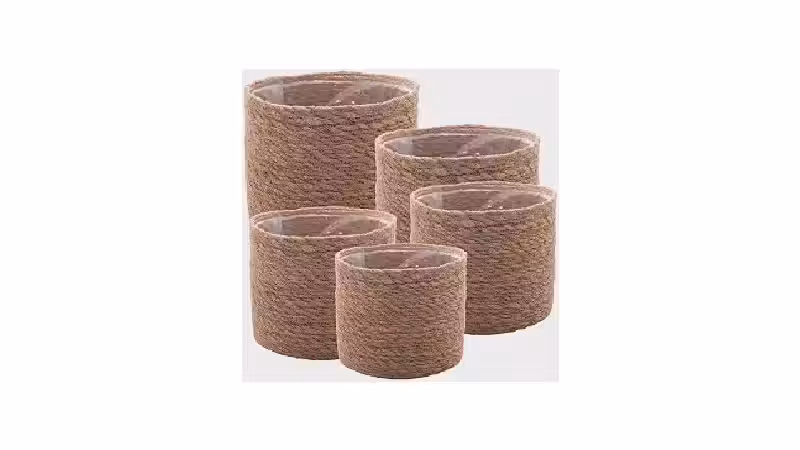 Qual o melhor cachepot: Cimento, Fibra ou Cerâmica?