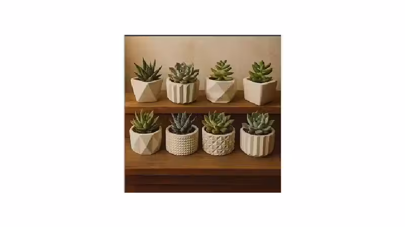 Qual o Melhor Cacto Artificial? Do Mini ao Gigante