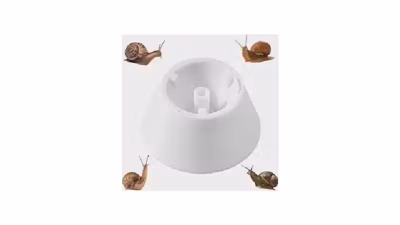 Qual o Melhor Caracol para Limpeza de Aquário: Guia