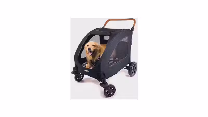 Qual o Melhor Carrinho de Passeio para Cachorro Idoso ou com Deficiência: Análise de 10 Modelos