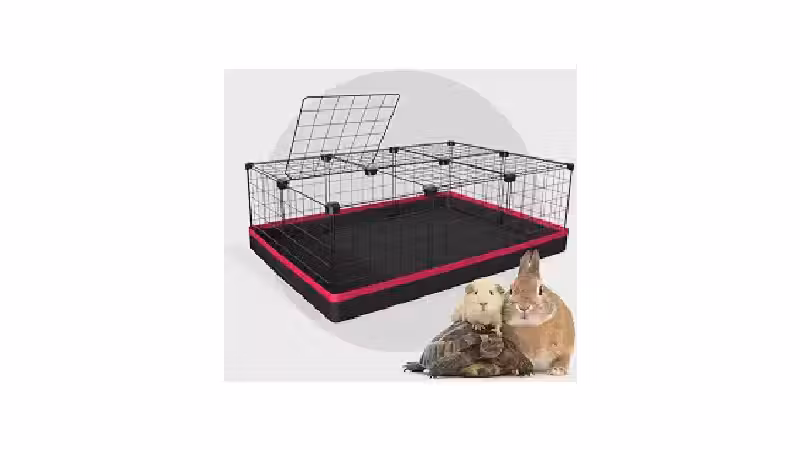 Qual o melhor chiqueiro para porco? (Para Porquinhos-da-Índia)