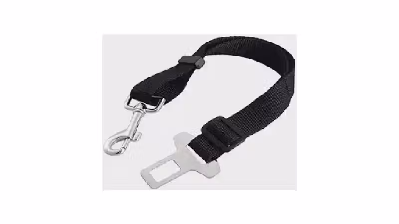 Qual o Melhor Cinto de Seguranca para Cachorro? Guia