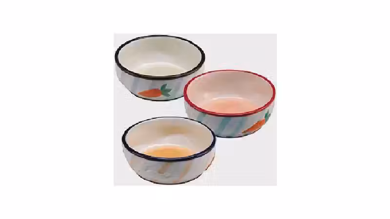 Qual o melhor comedouro de cerâmica para roedor? Guia de 10