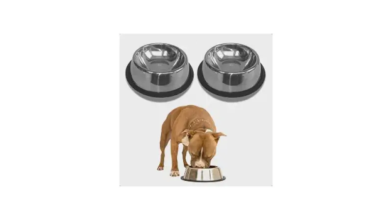 Qual o Melhor Comedouro de Inox para Cachorro? 10 Análises